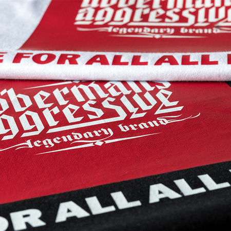 Longsleeve One for All