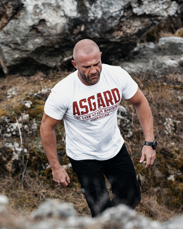 Defence Legion Asgard T-shirt